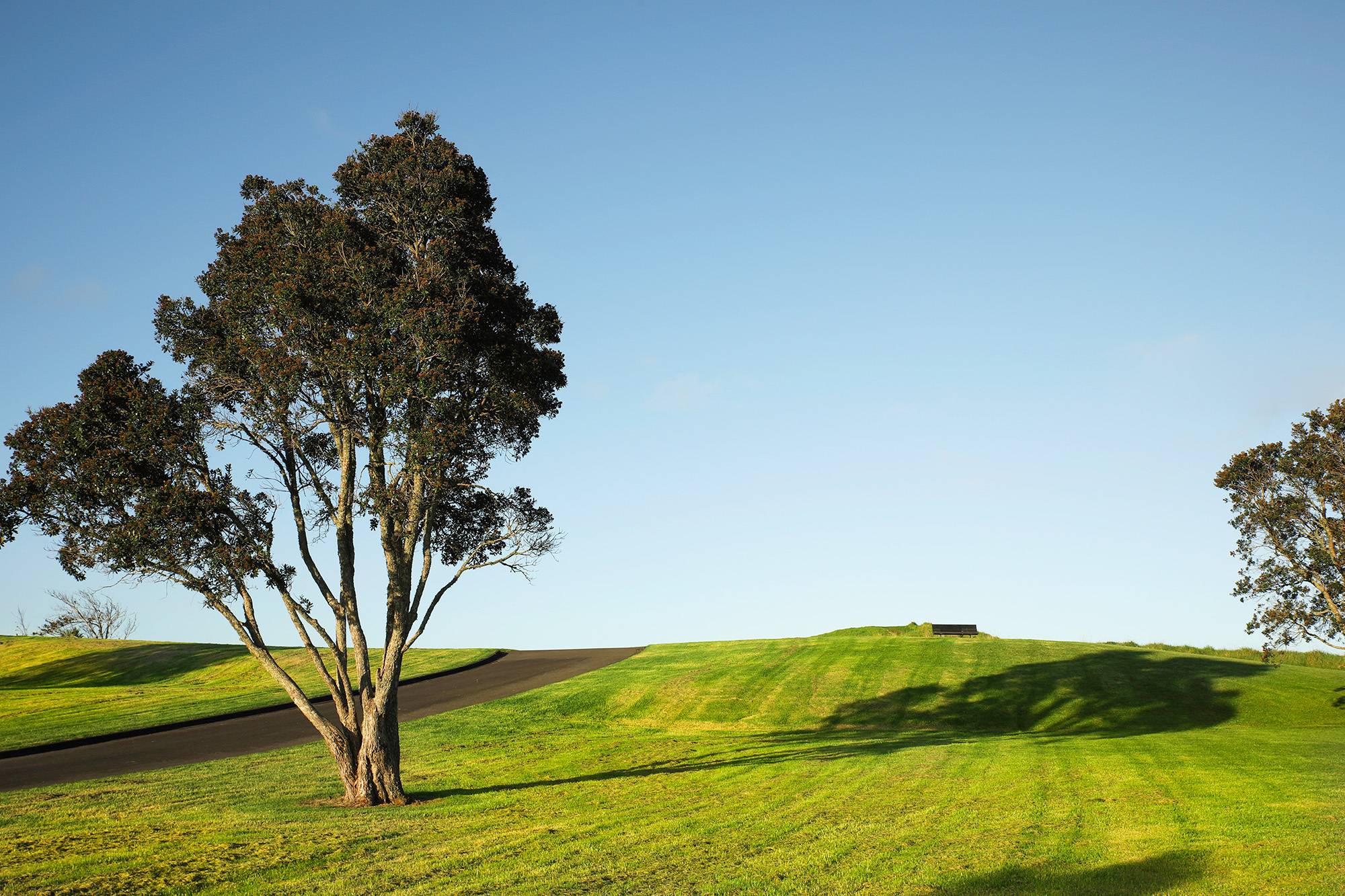 Mt roskill walking path te mara resized