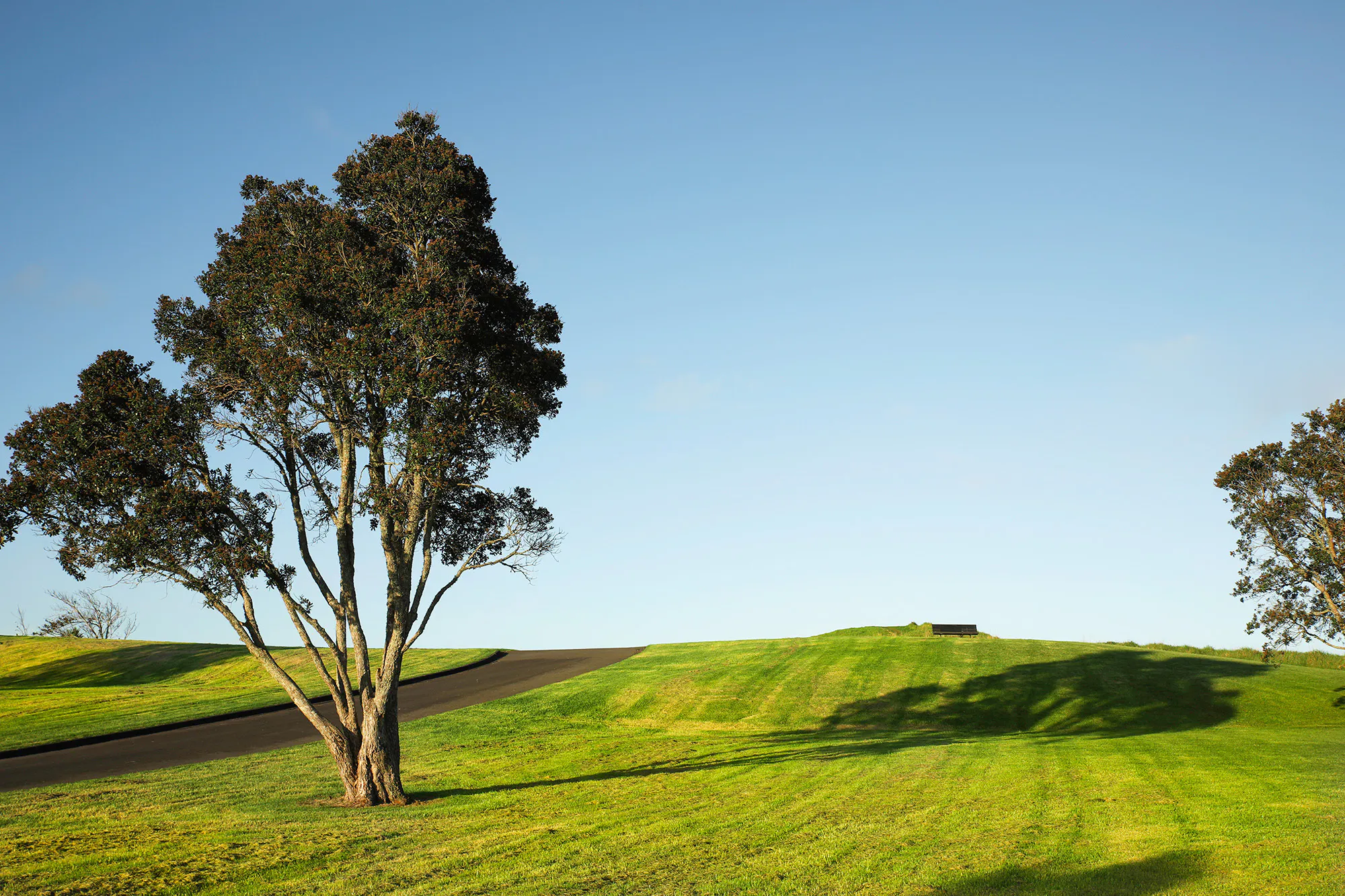 Mt roskill walking path te mara resized